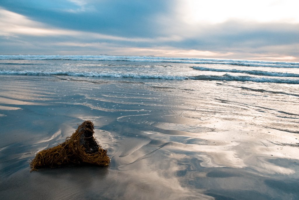 Coronado beach