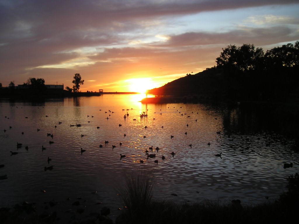 Lake Murray Sunset