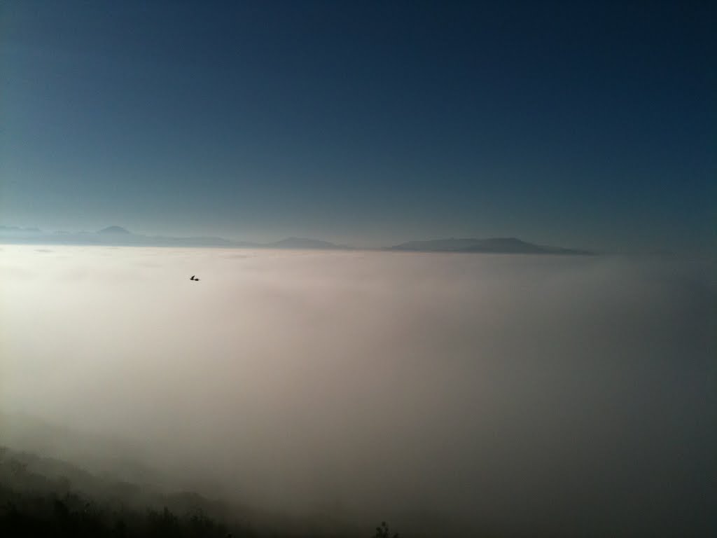Top of Cowles Mountain above the clouds