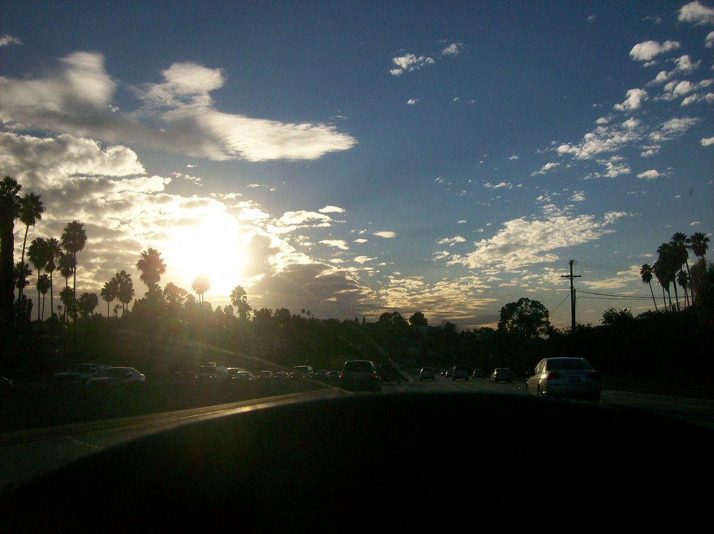 8 West // dusk