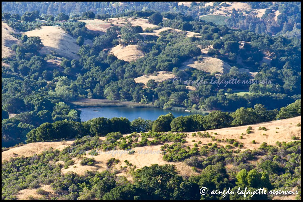 Summertime 2014 from Rim Trail