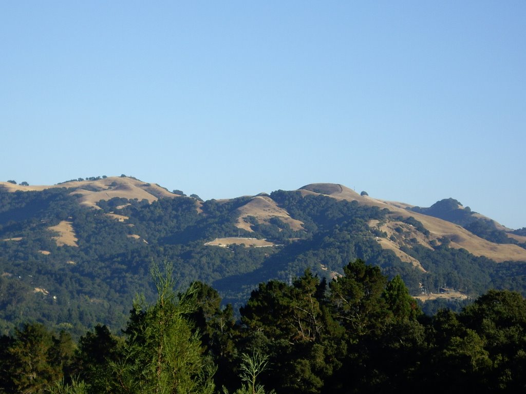 Hills of Lafayette