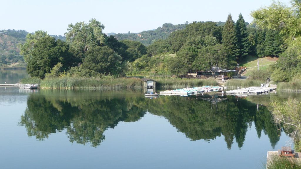 Lafayette Reservoir boats