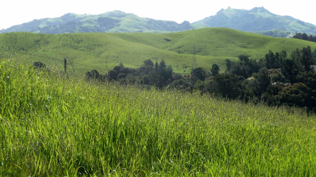 Lafayette Reservoir Rim Trail Spring Mt. Diablo