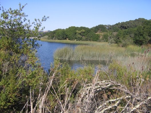 Lafayette Resevoir