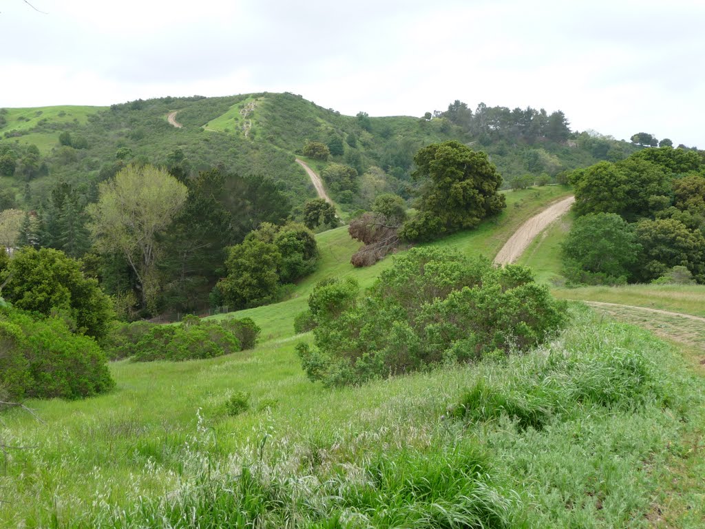 Favorite Hill from Upper Rolling Road late April