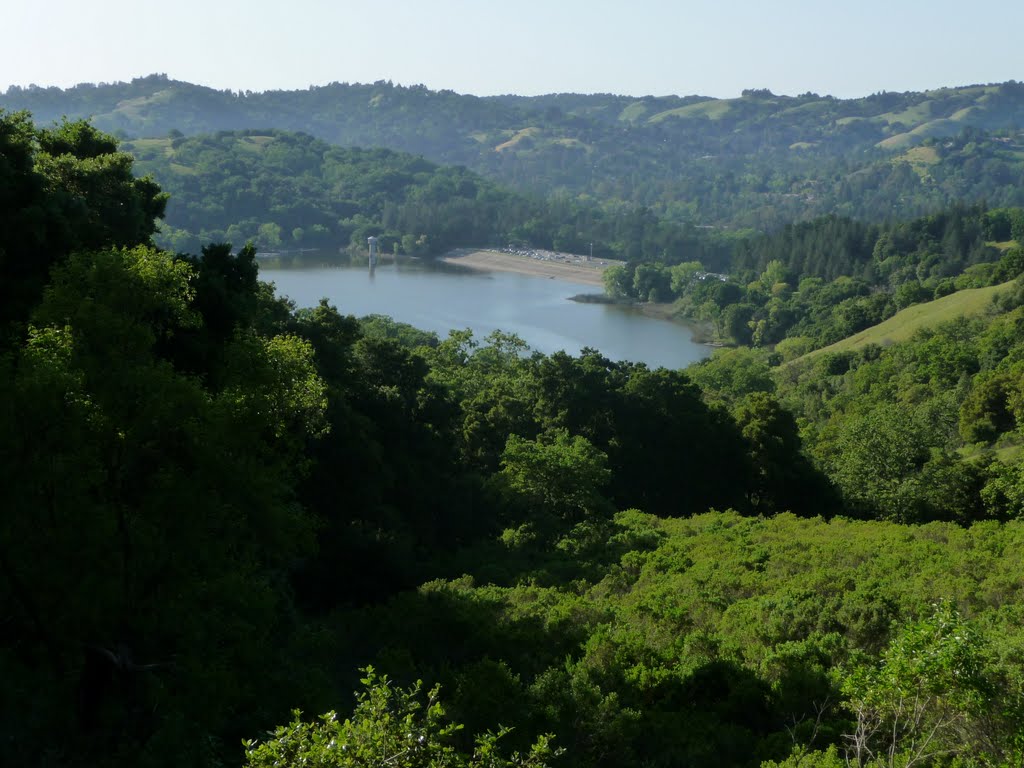 Lafayette Reservoir Cradled in April Green
