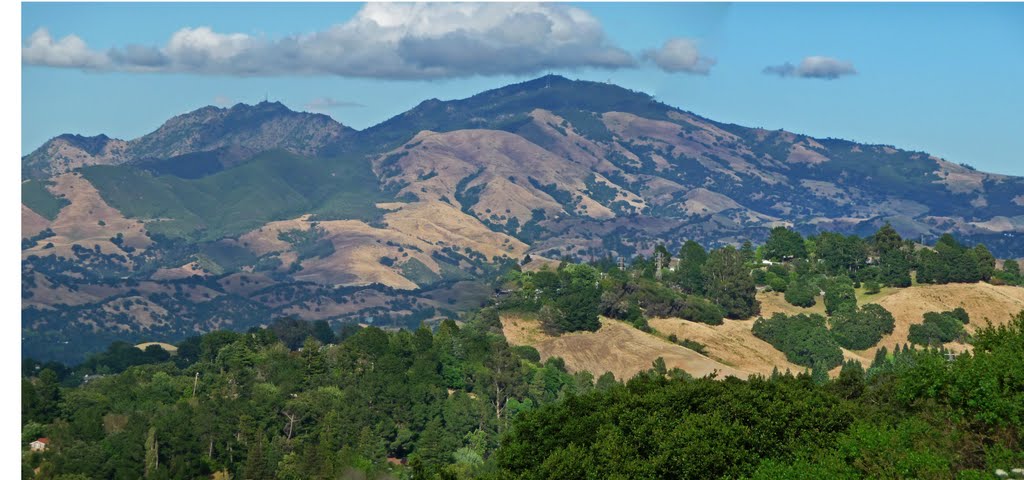 Mt Diablo June from Rim Trail