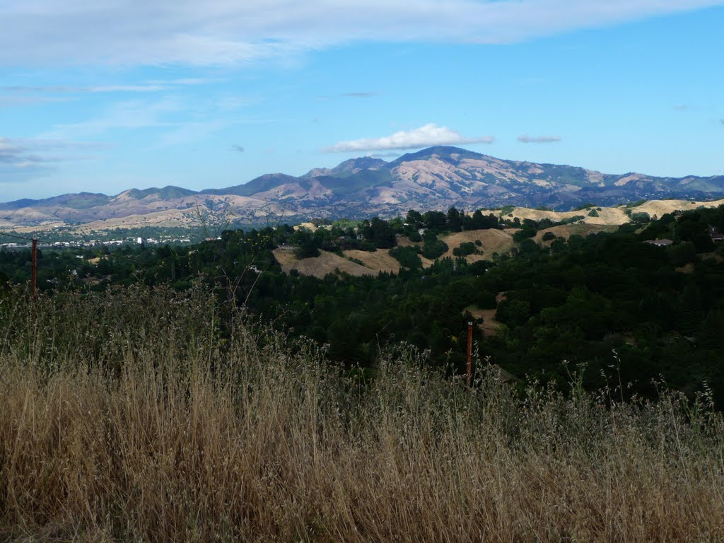 Diablo Valley from Rim Trail
