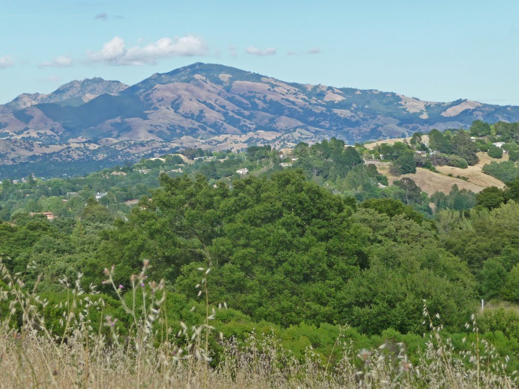 Mt Diablo from Rim Trail