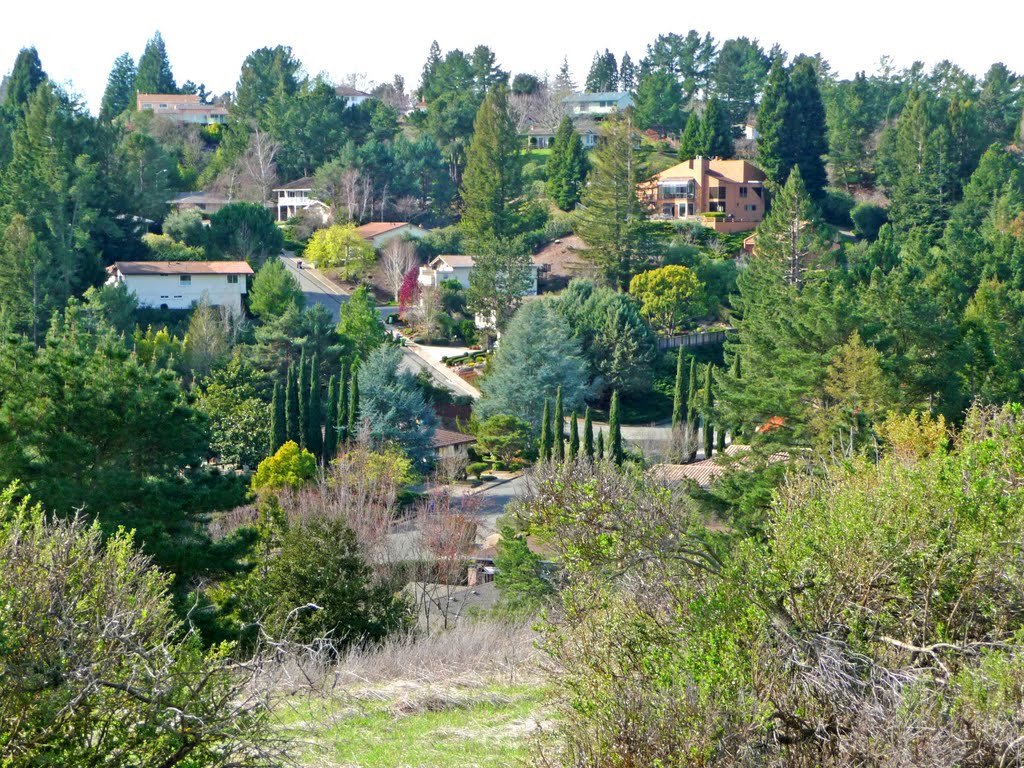 Hillside Homes