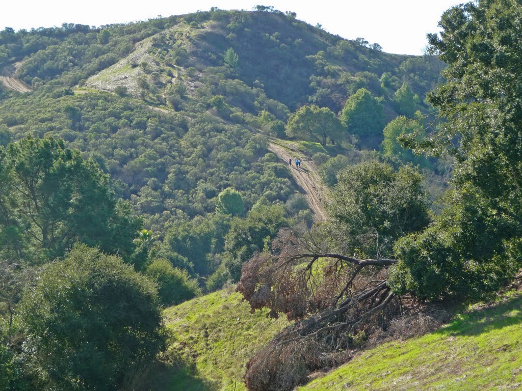 Revelers on Favorite Hill