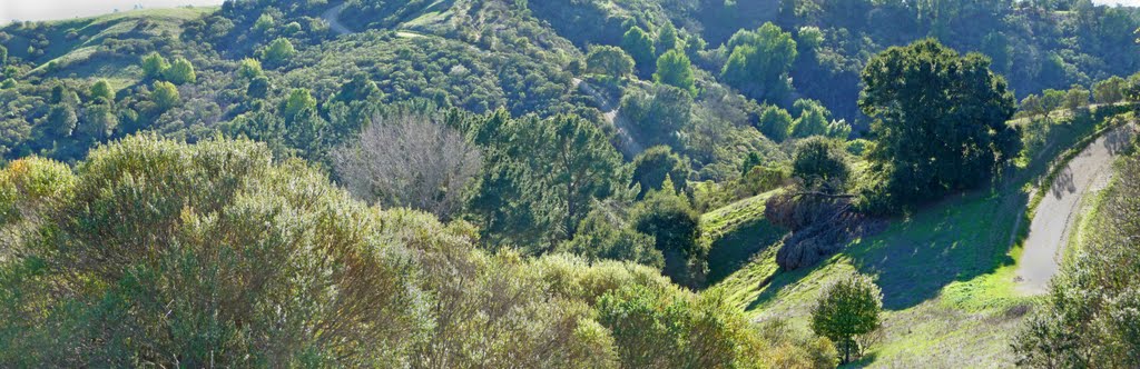 Favorite Hill in February