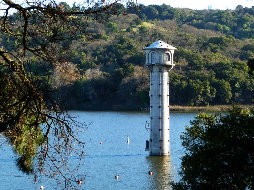 Tower Drain