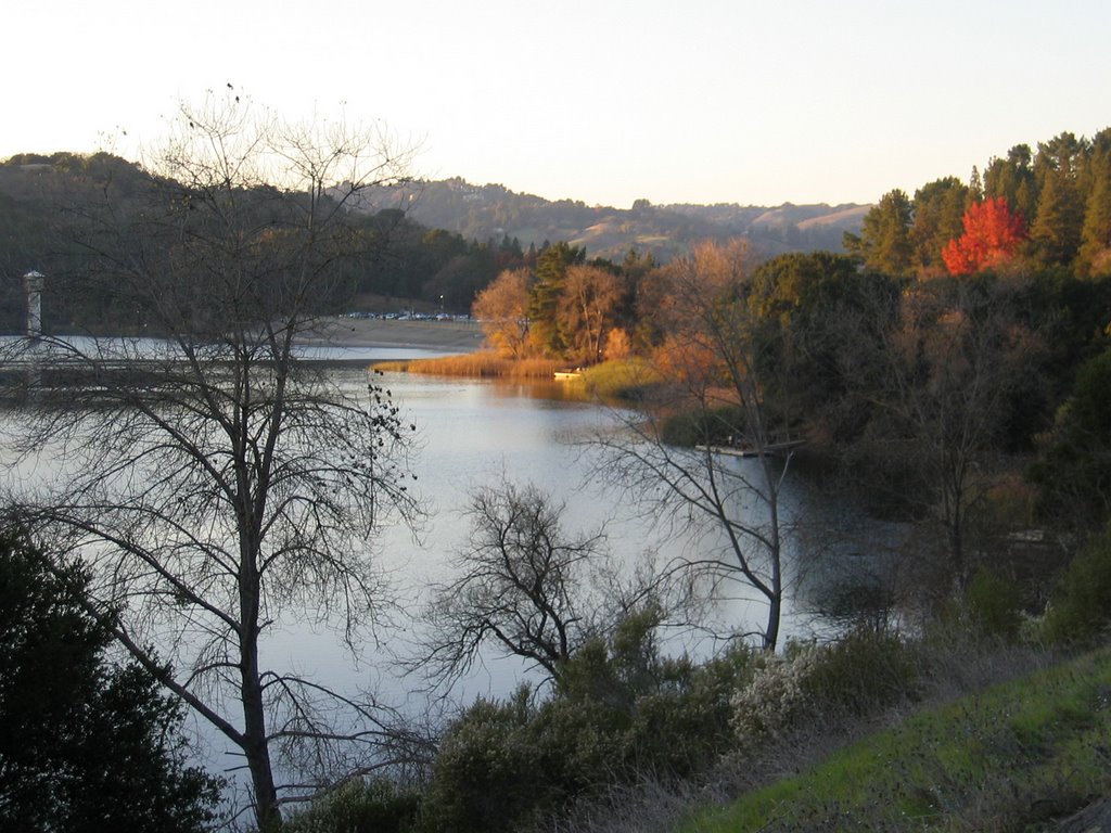 December at Lafayette Reservoir