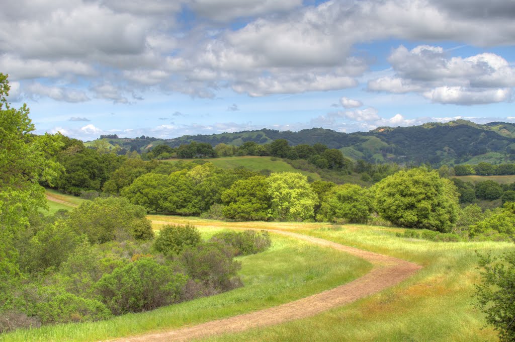 Peaceful time on the Lafayette Reservoir Rim Trail
