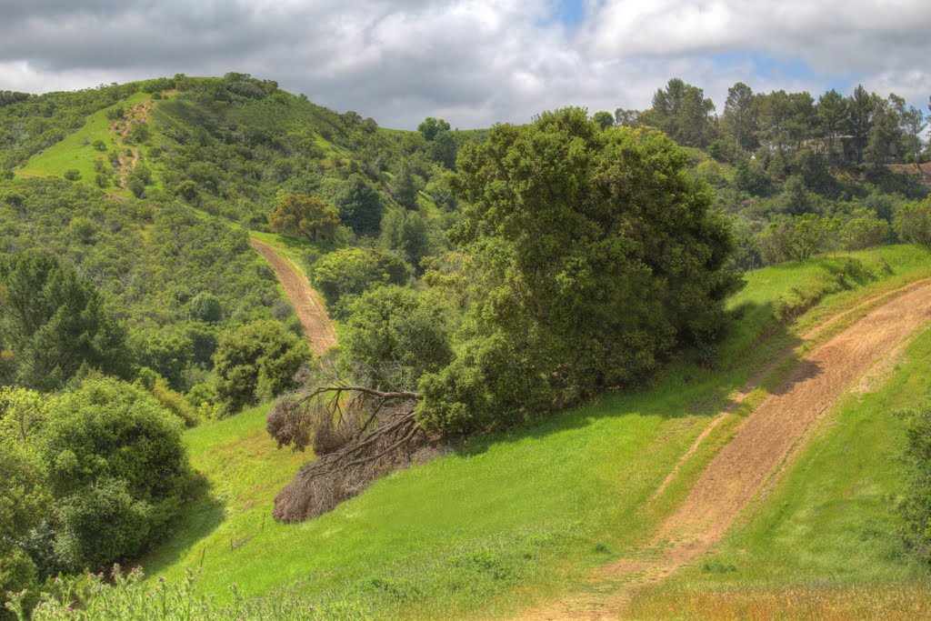 Favorite Hill - Lafayette Reservoir Rim