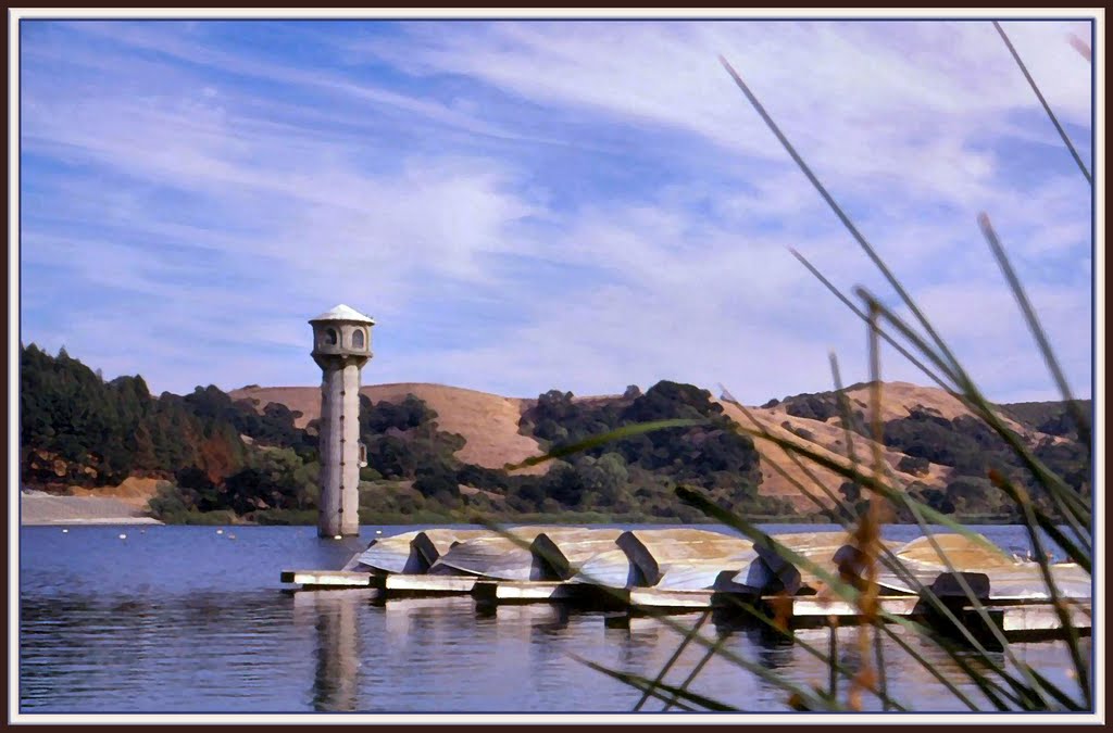 Lafayette Reservoir, CA (suz)