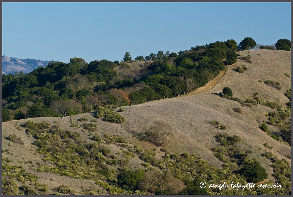 Scenic Ridge Trail