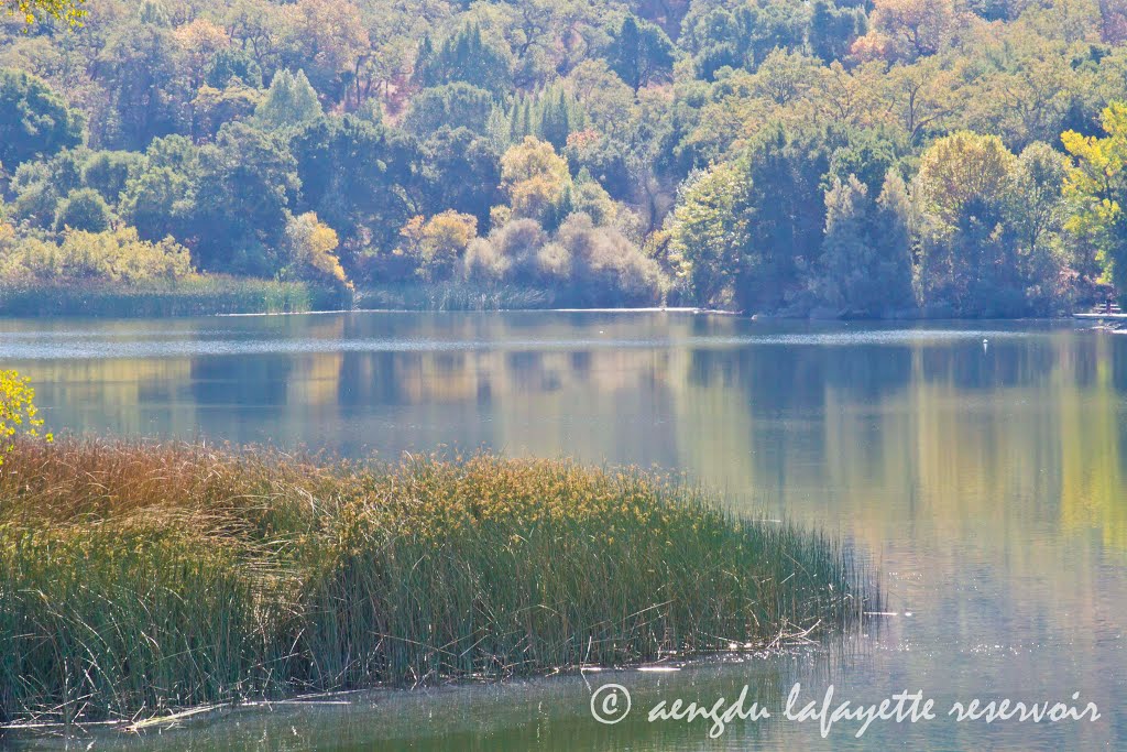 shining bend