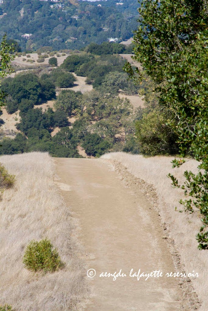 trail down