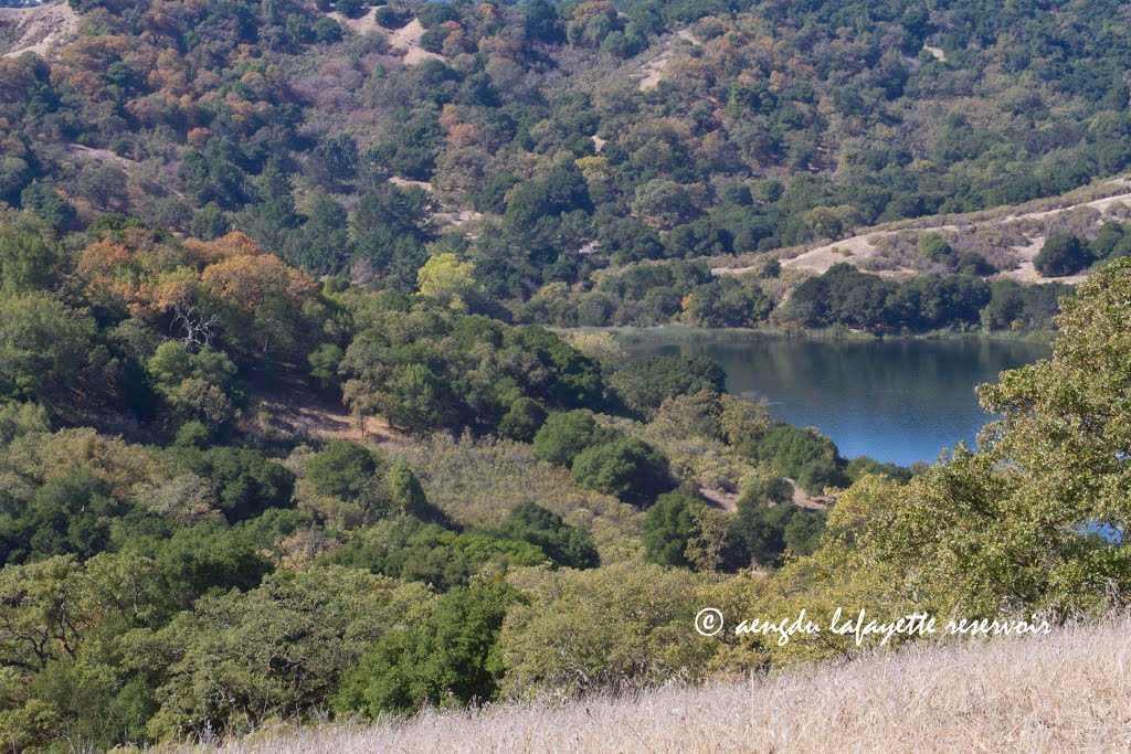 fall trailside