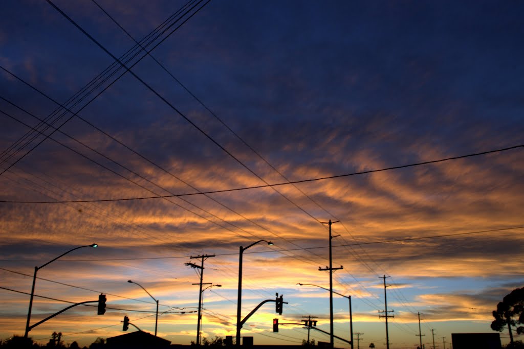 Lemon Grove,Ca
