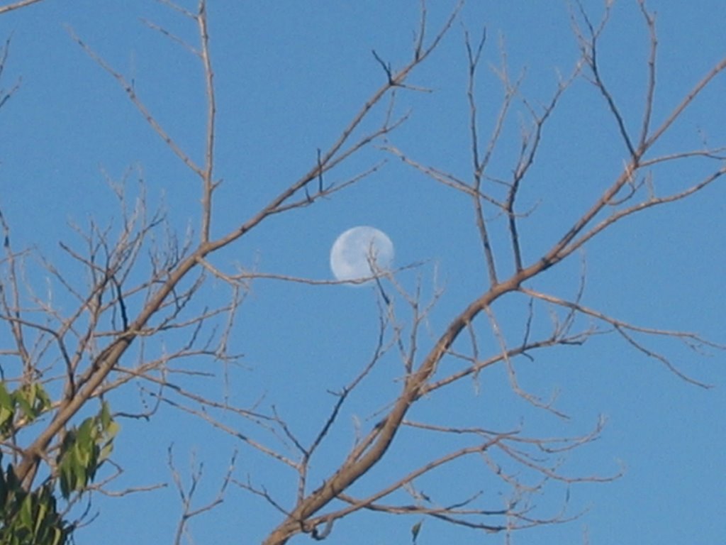 Full moon in broad daylight...