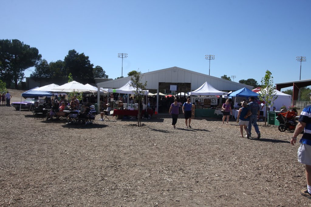 Robertson Park