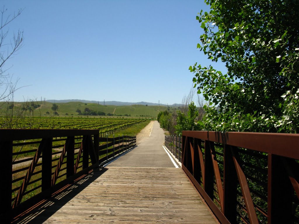 Livermore Biking trails