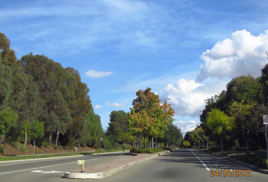 Concannon Blvd.