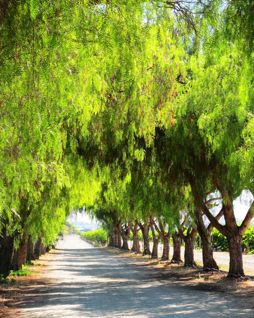 Livermore, CA