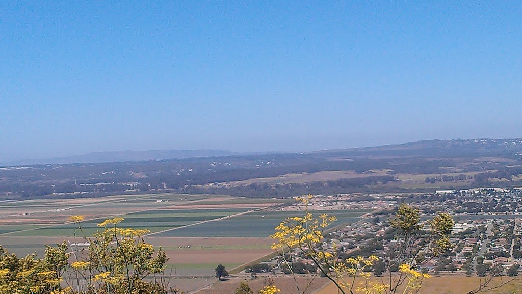 Look Out Point