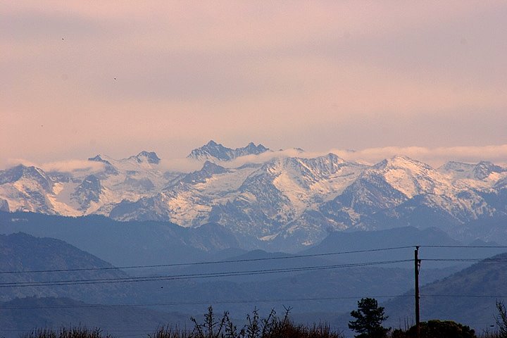 Sillimans of southern Sierra Nevada