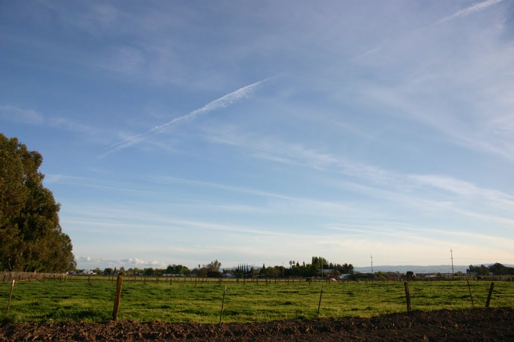 Out to Pasture