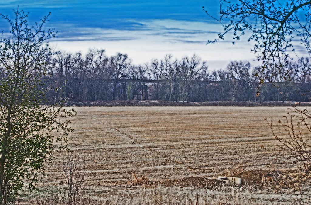 District 10 rice field