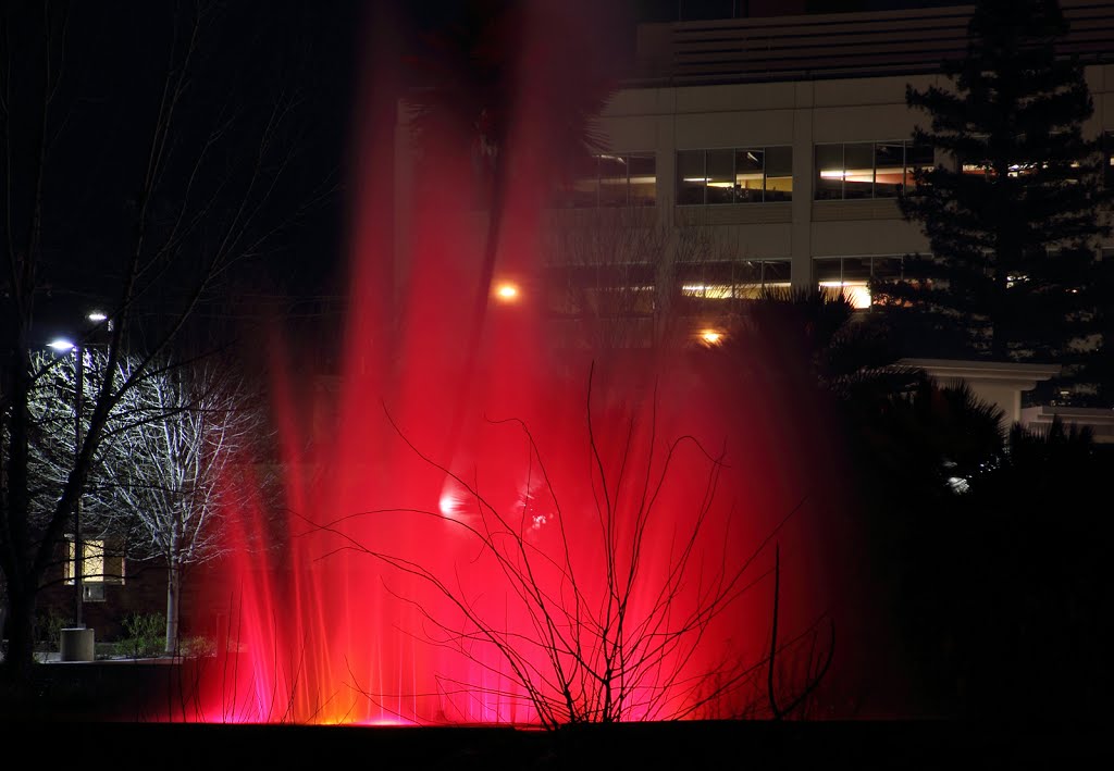 Ellis Lake fountain