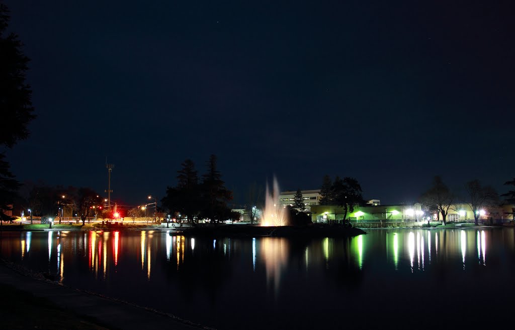 Overview of Ellis Lake