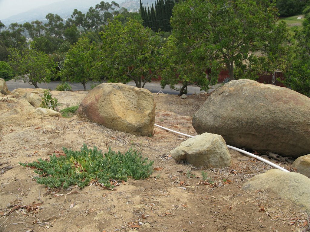 Rocks