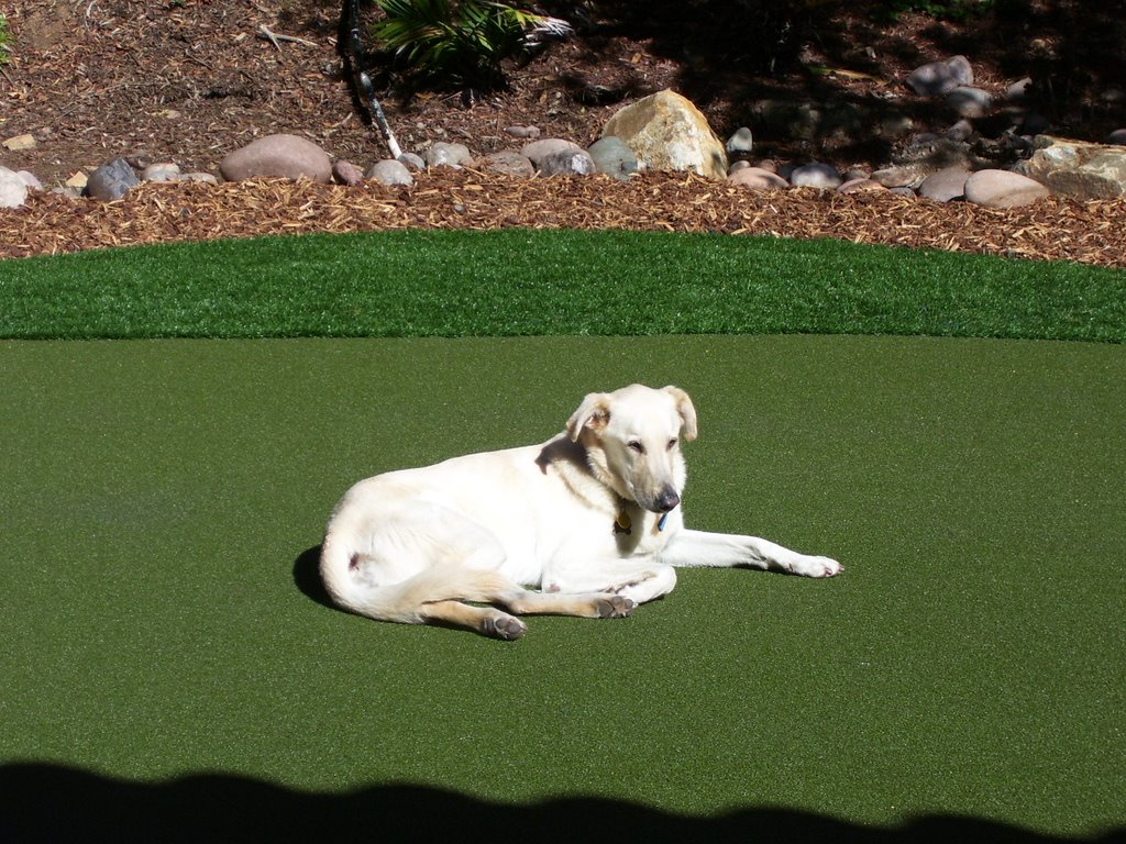 Luke on the putting green