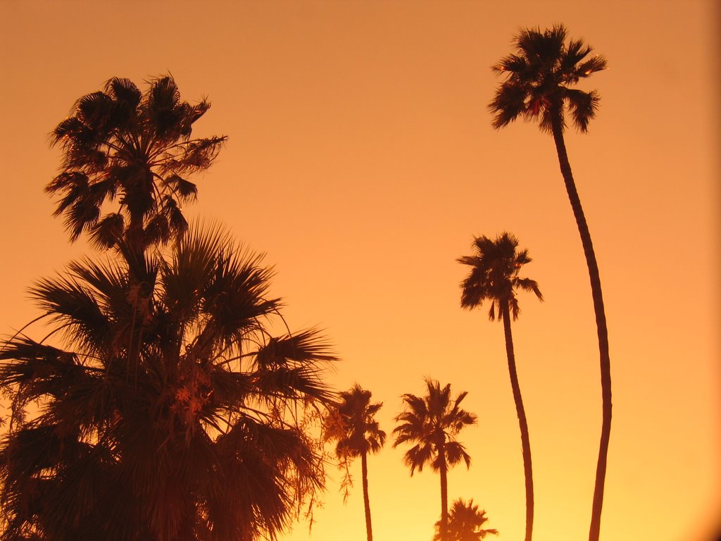 Modesto Sunset 1