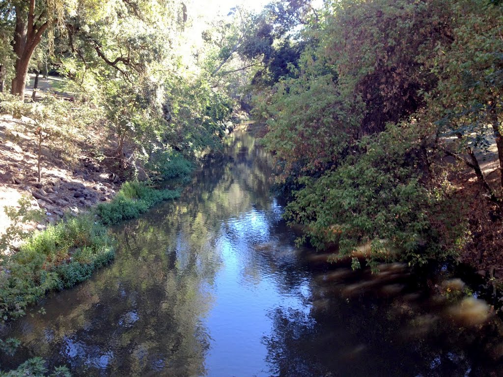 At Dry Creek Trail.