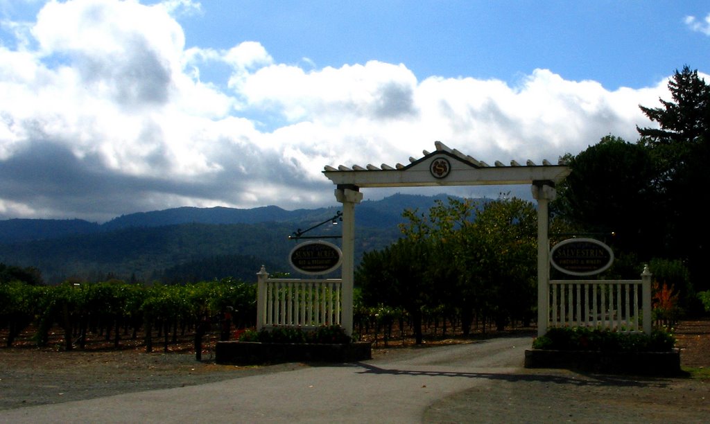 Napa valley, California
