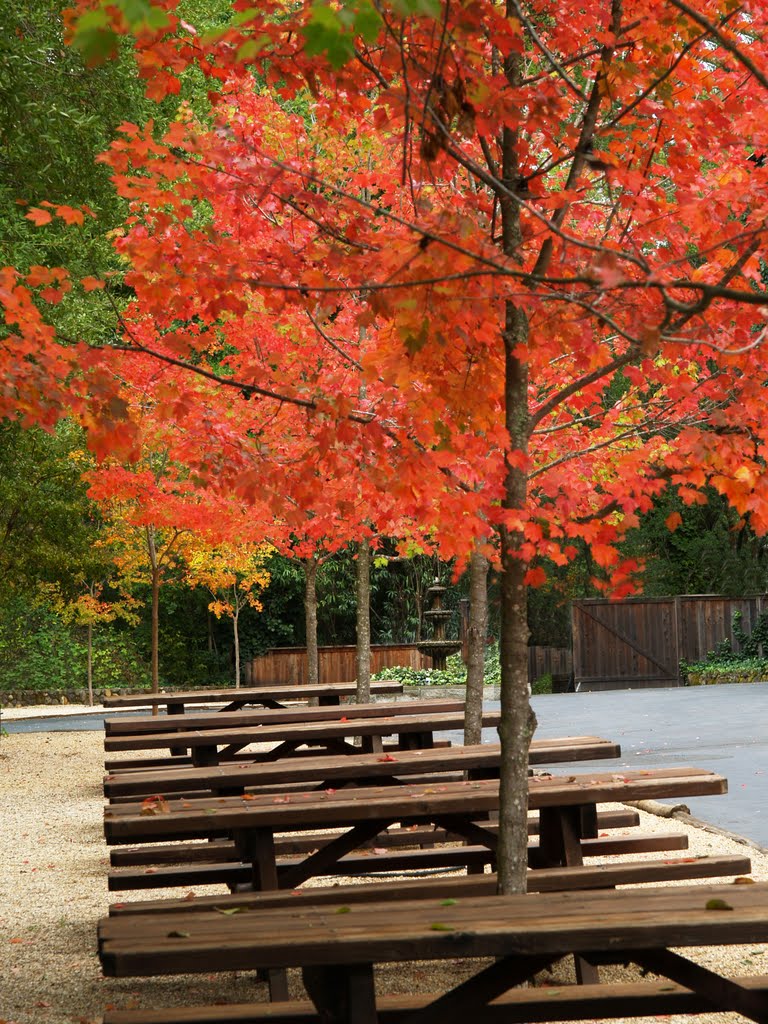 Napa Valley, California