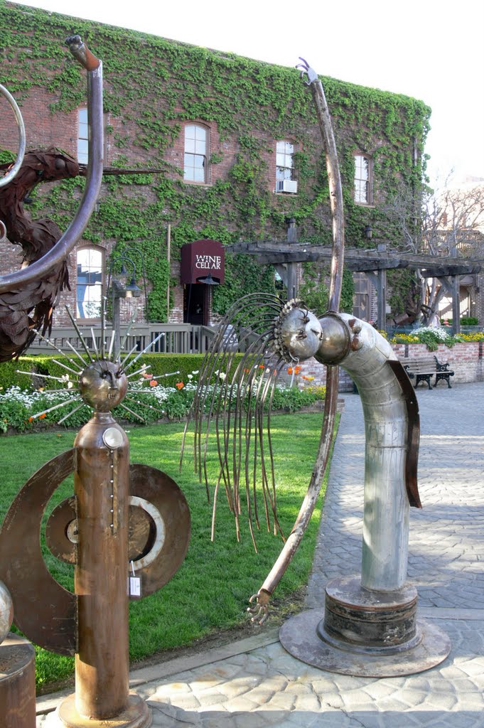 125. Napa - Californian wine district,  wine cellar