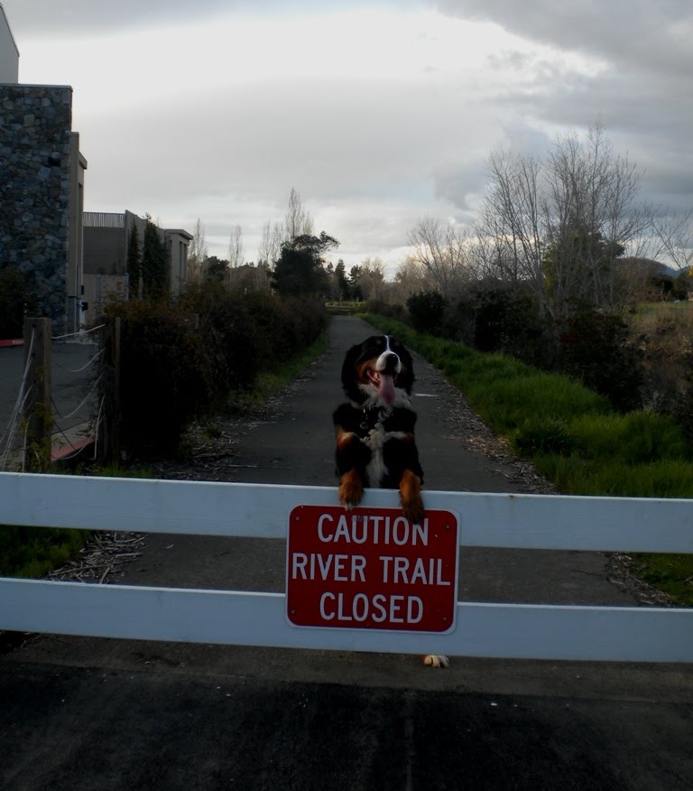 River Trail Closed
