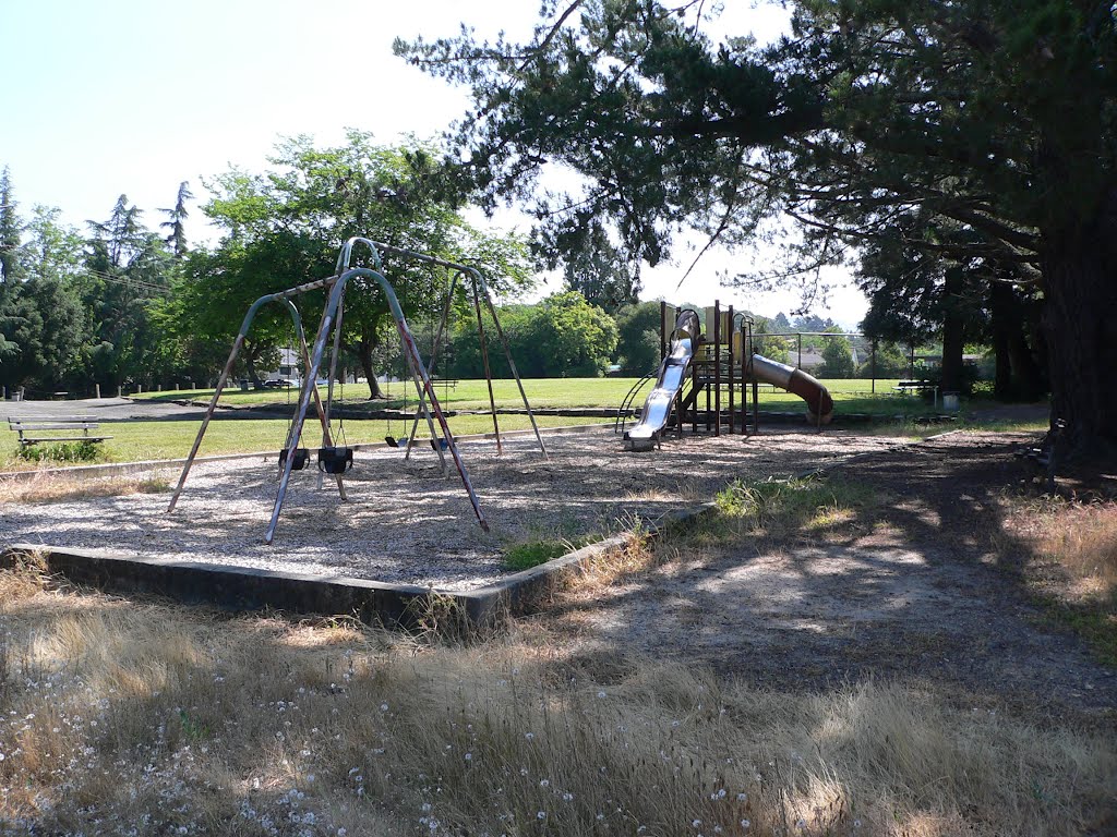Park and Playground