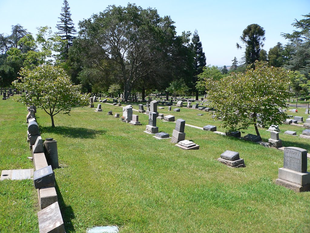 Tulocay Cemetery