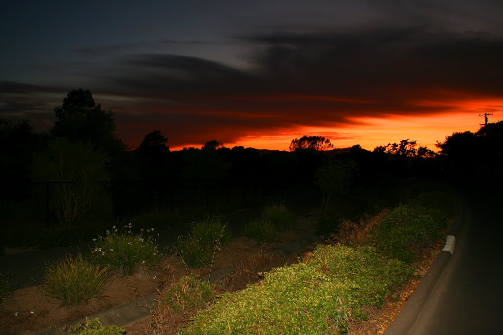 Napa California 06/16/2012