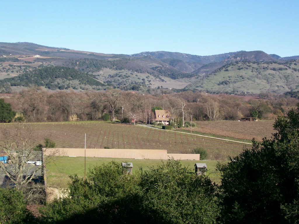 California wine country